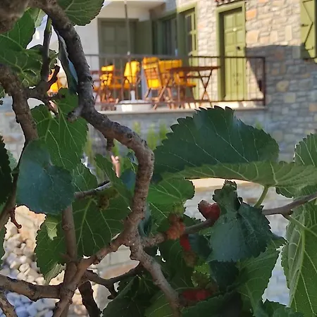 The Hill Penzion İmroz